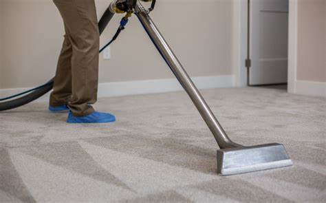 Professional Carpet Cleaning Service Icon