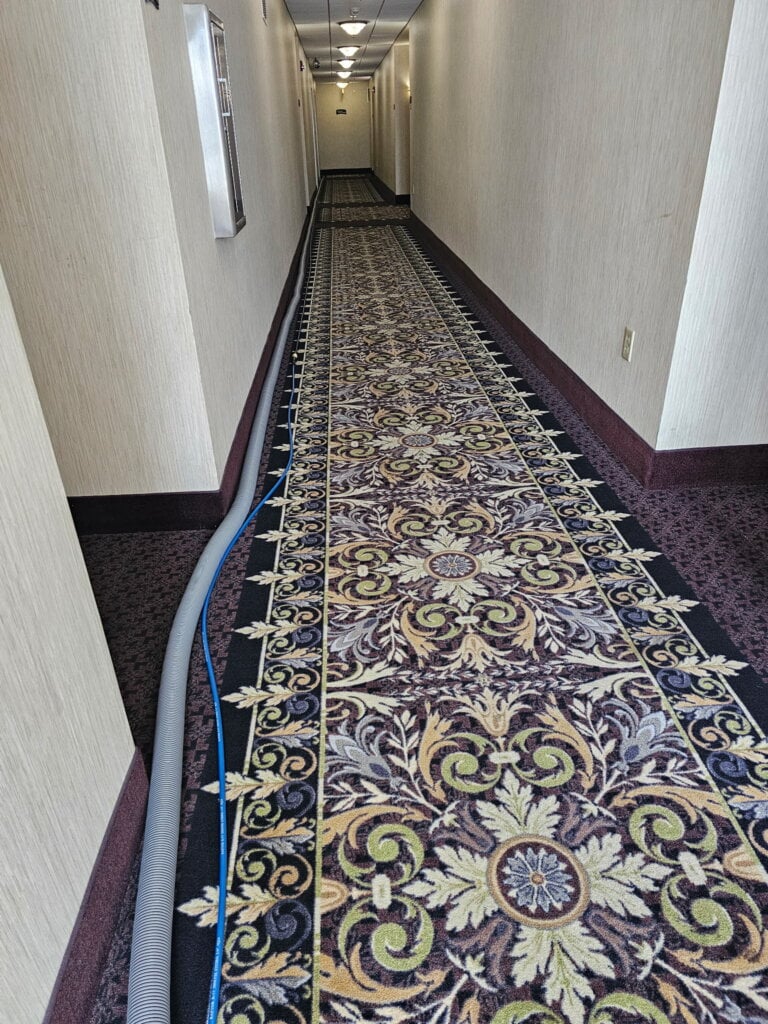 carpet cleaning - serving Wichita, KS and surrounding areas. Call today for a free quote!