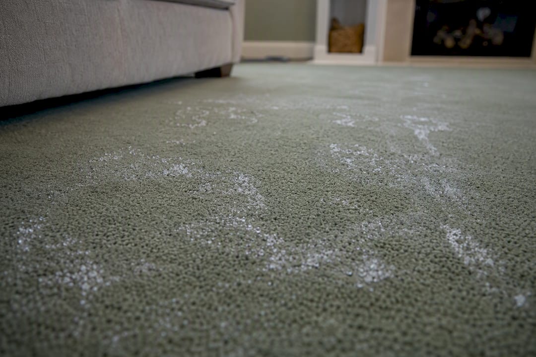 Close-up of different salt residues on carpet