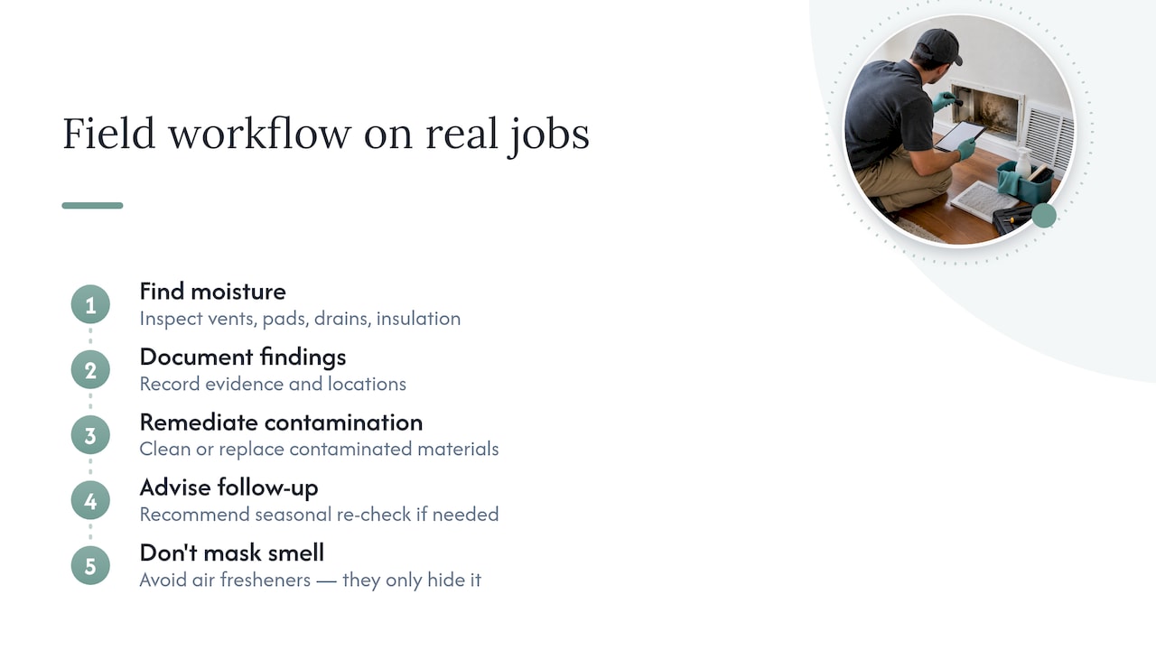 What we see on real jobs — overview diagram