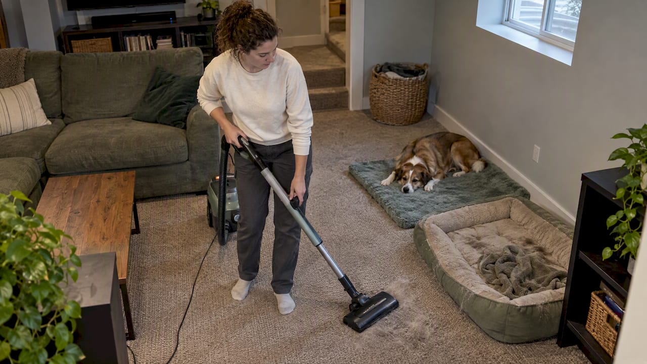 Homeowner vacuuming near a dog’s resting spot