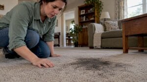 Homeowner examining soot stain on carpet