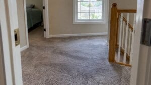 Freshly cleaned carpet drying on a home landing