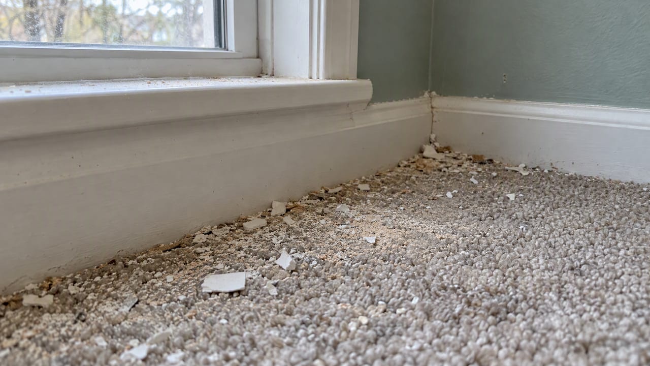 Drywall dust and chips along a carpet edge