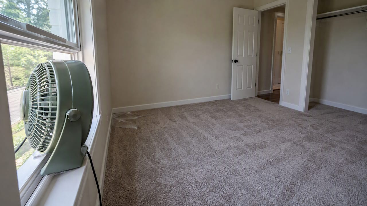 Open window and fan ventilate new carpet